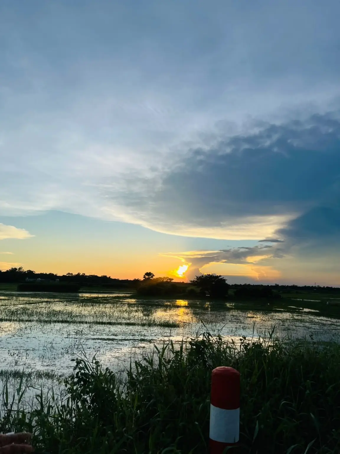 লেক ভিউ প্লট