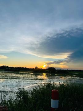 প্রকল্প মাঠ