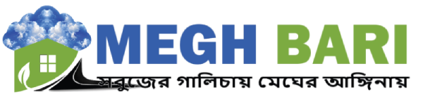 Megh Bari Asset Limited